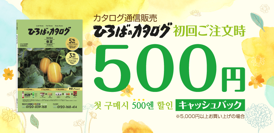 市場 最安挑戦 ×1個韓国料理 500g おうち時間 コチュジャン スンチャン
